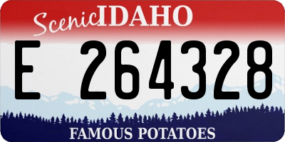 ID license plate E264328
