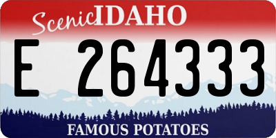 ID license plate E264333