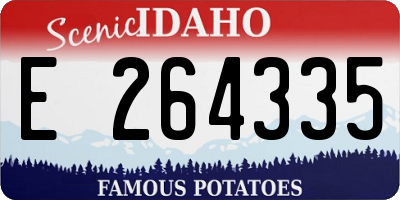 ID license plate E264335