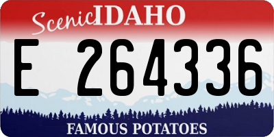 ID license plate E264336