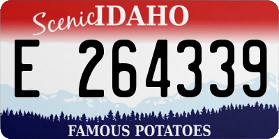 ID license plate E264339