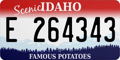 ID license plate E264343