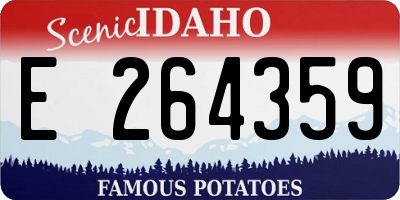 ID license plate E264359