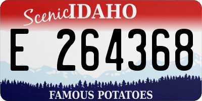 ID license plate E264368