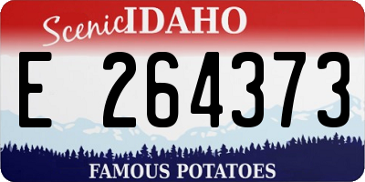 ID license plate E264373