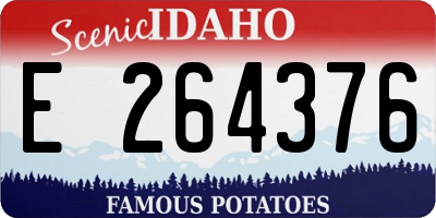 ID license plate E264376