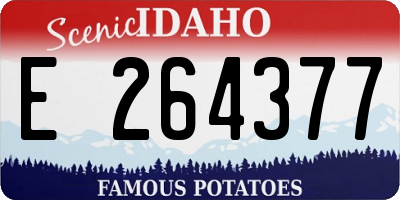 ID license plate E264377