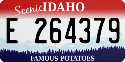 ID license plate E264379