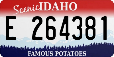 ID license plate E264381