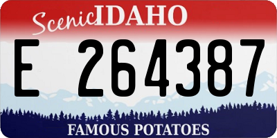 ID license plate E264387