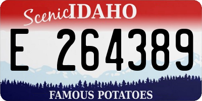 ID license plate E264389