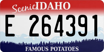 ID license plate E264391