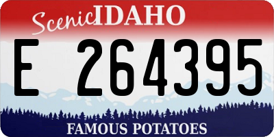 ID license plate E264395