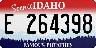 ID license plate E264398