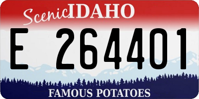 ID license plate E264401