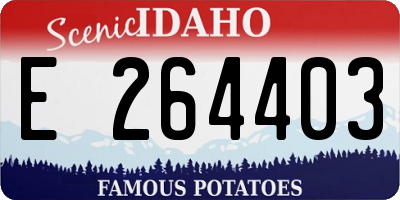 ID license plate E264403