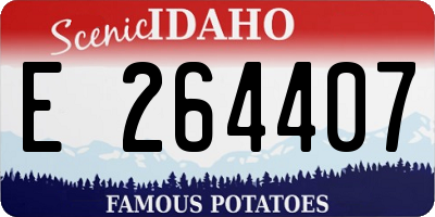 ID license plate E264407