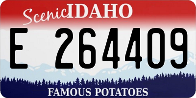 ID license plate E264409