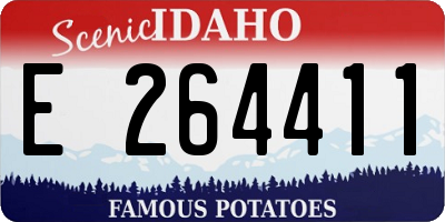 ID license plate E264411