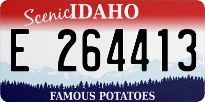 ID license plate E264413