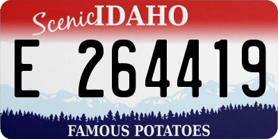 ID license plate E264419
