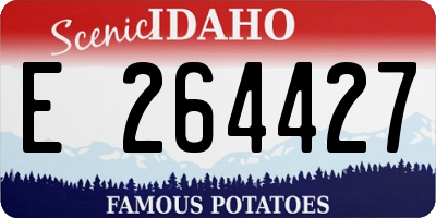 ID license plate E264427