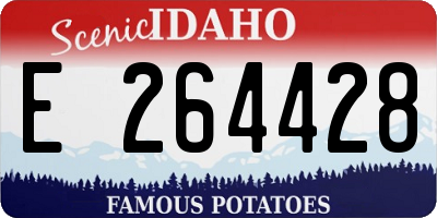 ID license plate E264428