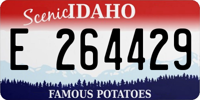 ID license plate E264429