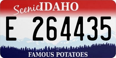 ID license plate E264435