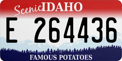 ID license plate E264436
