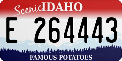 ID license plate E264443