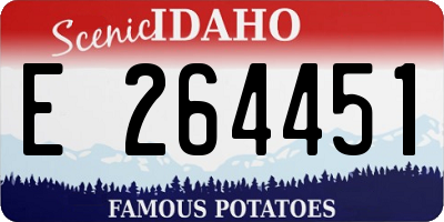 ID license plate E264451