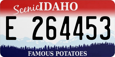 ID license plate E264453