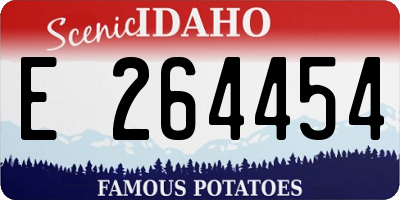 ID license plate E264454