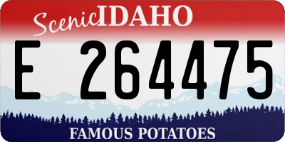 ID license plate E264475