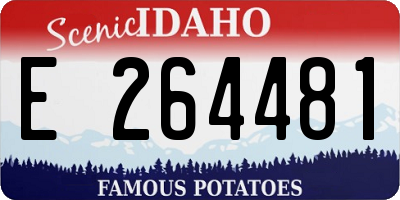 ID license plate E264481