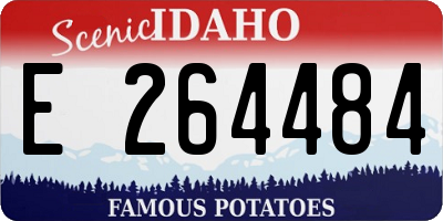 ID license plate E264484