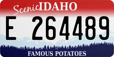 ID license plate E264489