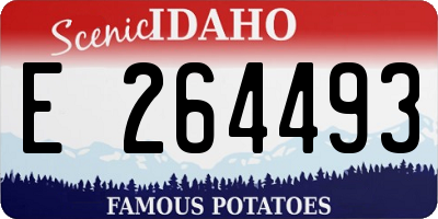 ID license plate E264493