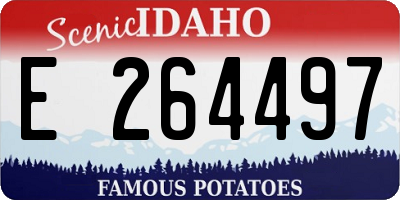 ID license plate E264497