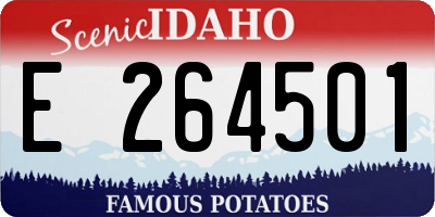 ID license plate E264501