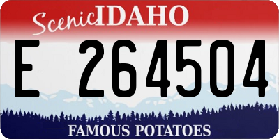 ID license plate E264504