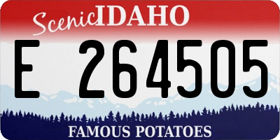 ID license plate E264505