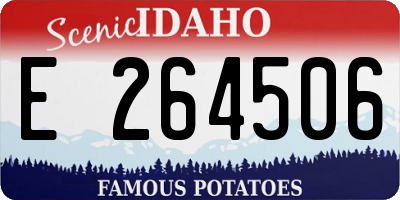 ID license plate E264506