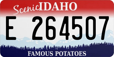 ID license plate E264507