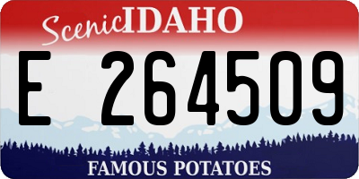 ID license plate E264509