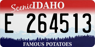 ID license plate E264513