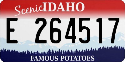 ID license plate E264517