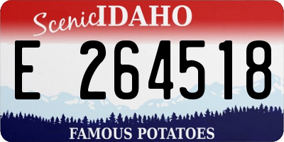 ID license plate E264518