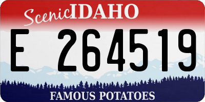 ID license plate E264519